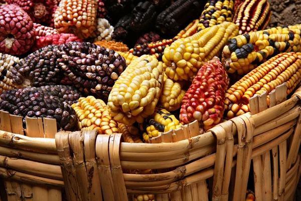 Succursale GMK Bukavu